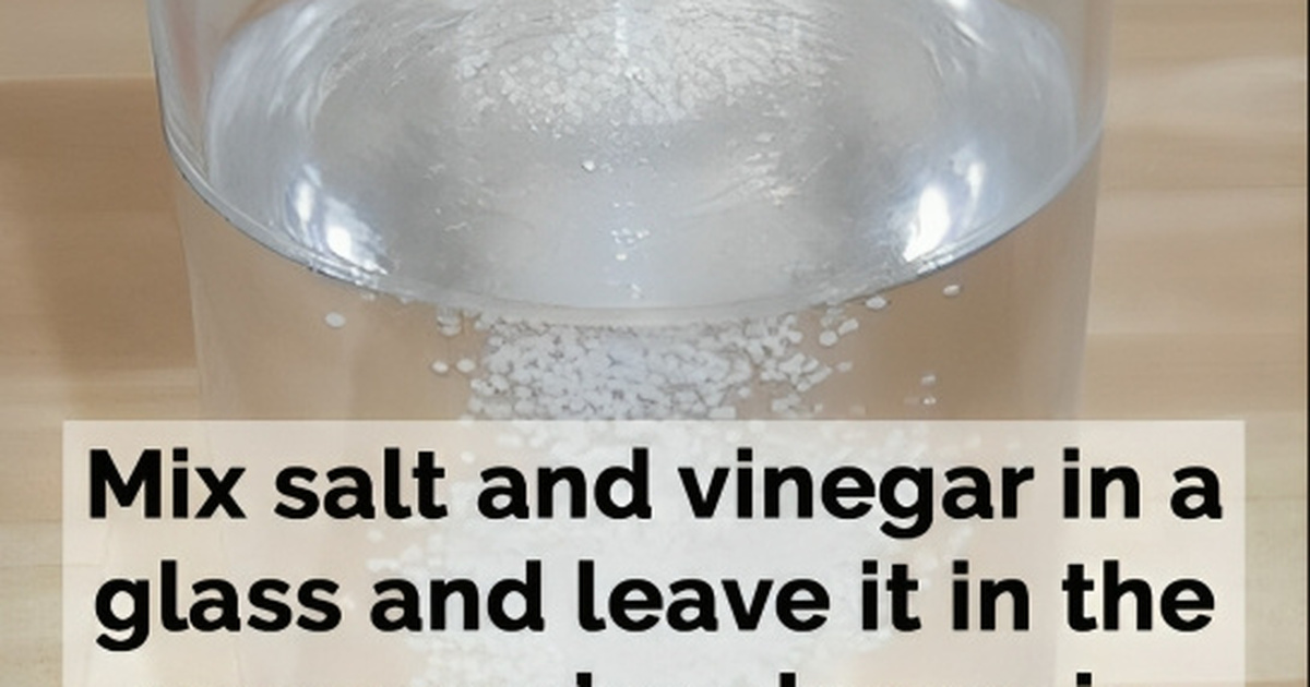 How salt and vinegar can help improve the air quality at home - Yohanpost