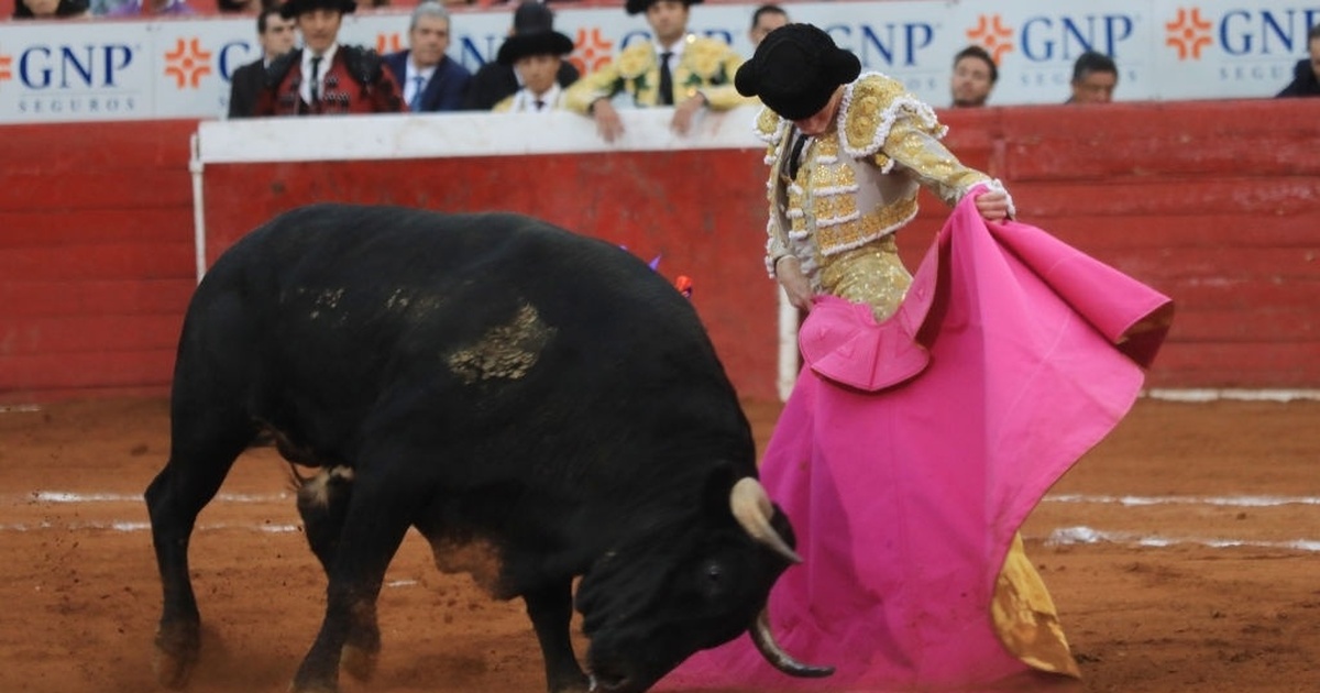 Crowd narrowly avoids injury after fighting bull leaps barrier during