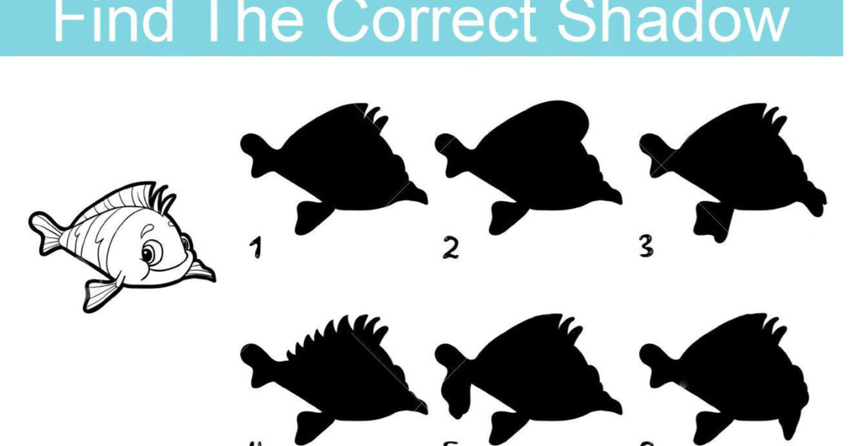How Well Do You Observe? Find the Correct Shadow Among These Options ...