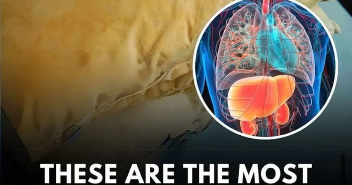 Hidden Dangers Lurking in Your Pillows - Yohanpost