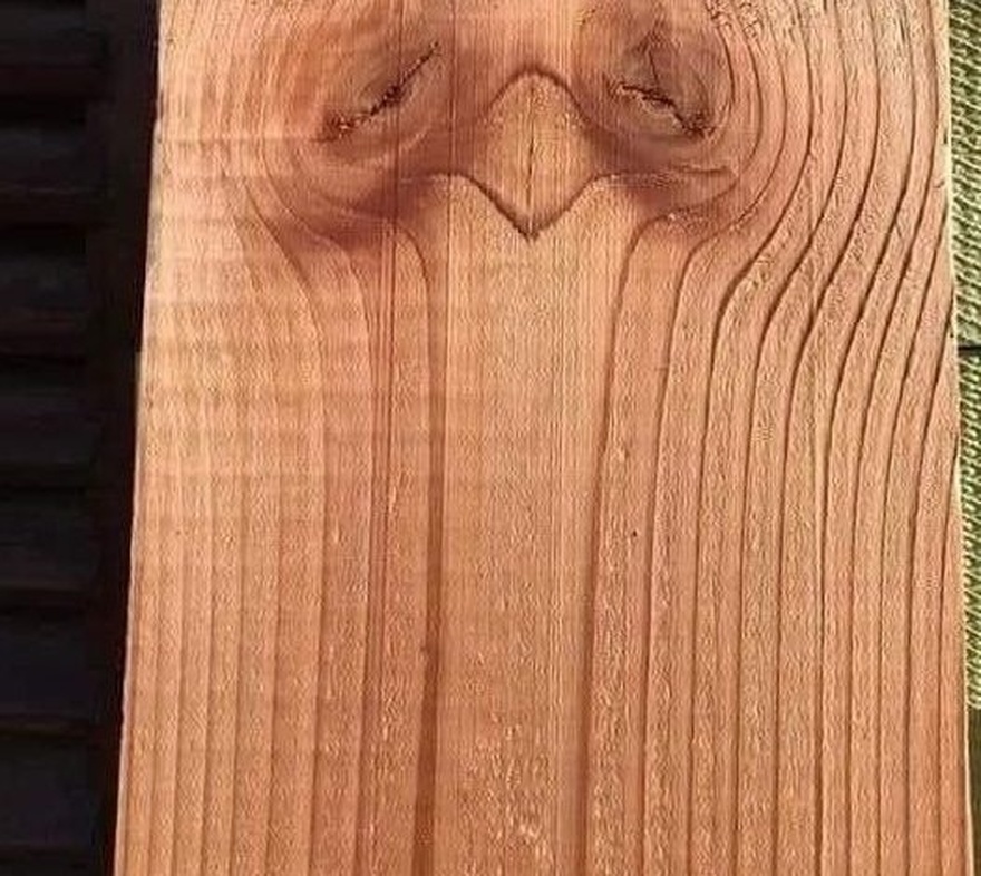 “Faces in the Woodwork: Exploring Pareidolia and Our Fascination with Patterns”
