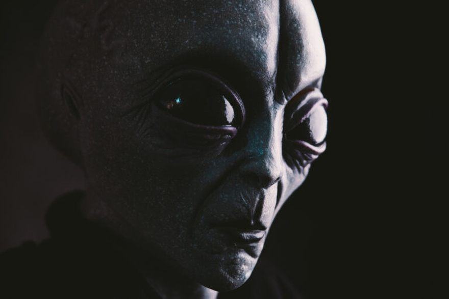 Neighbor finds ‘alien’ object in their backyard that has the internet stumped