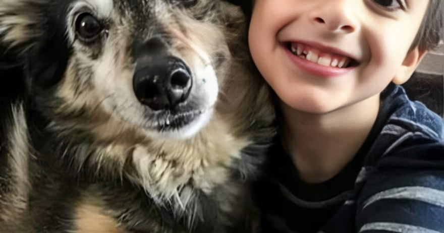 A Rescue Dog Came Home with Us — The Next Night, My 8-Year-Old Son Disappeared