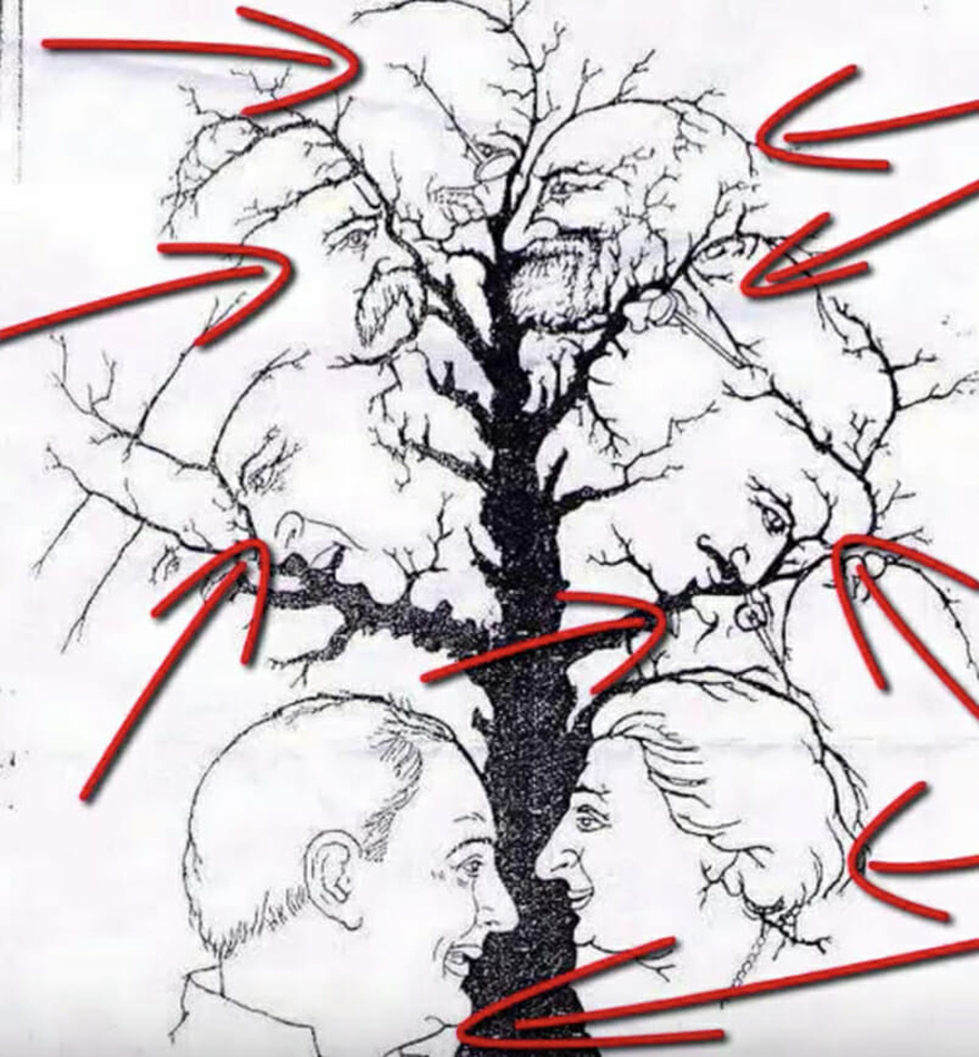 Only a few people can find all the faces hidden in this tree – are you one of them?