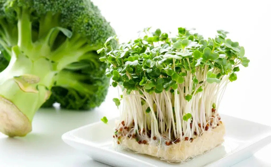 10 Foods That Prevent and Fight Can.cer