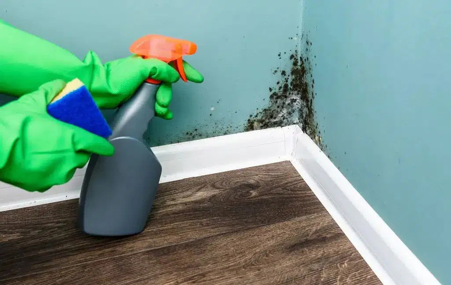 If your walls are turning black in a corner, it’s no accident: find out what it really means (and how to fix it)
