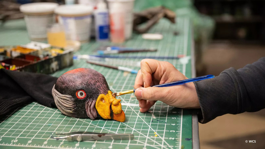 New York Zoo Shares Why Keepers Hide Their Faces and Wear a Hand Puppet to Feed New Vulture Chick