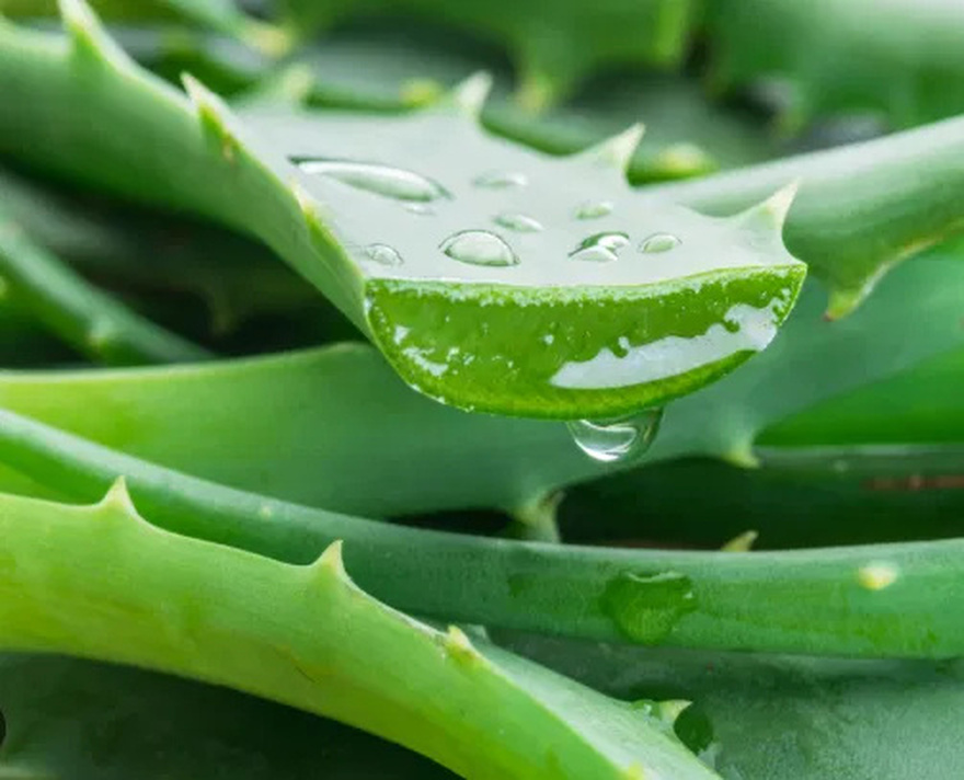 2 Tablespoons of This and You’ll Notice Incredible Results For Your Digestive Problems
