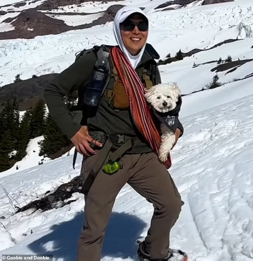 Why a Neurosurgeon Who Trained at MIT Walked Away After 9 Years in the Field
