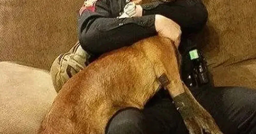 I broke down saying goodbye to my K9- partner…