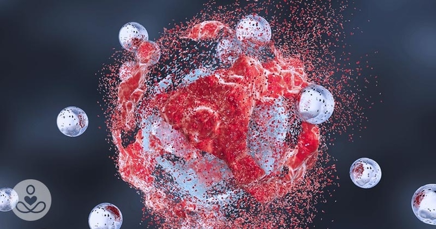 Scientists Find a “Kill Switch” in the Body That Can Destroy Any Type of Cancer