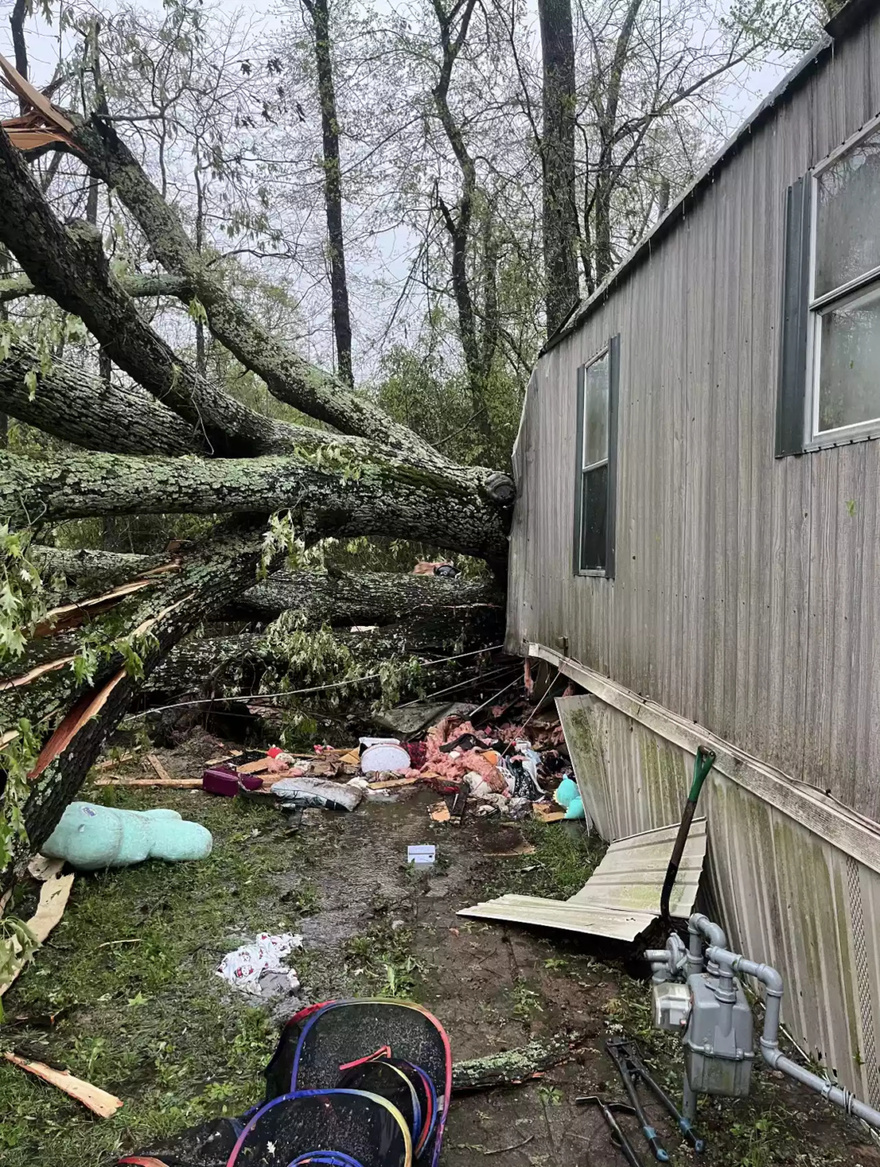 Boy, 5, Dies in Bed After Tree Crashes into Mobile Home During Storm