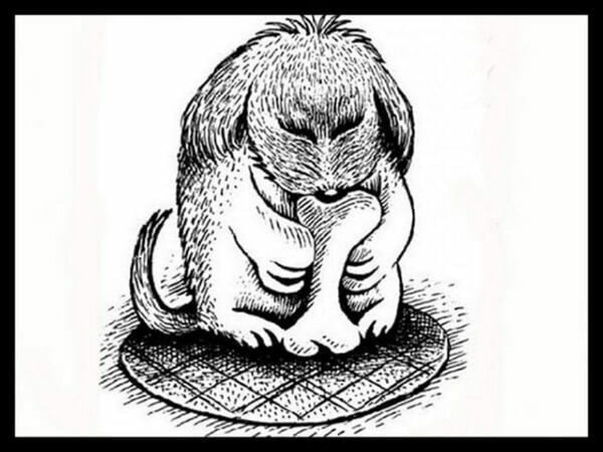Only certain people can see the animal hidden in the frog in this picture