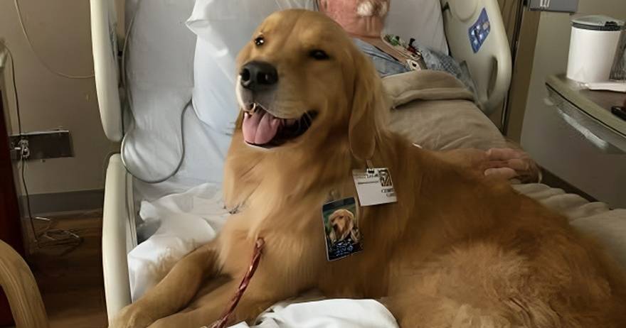 THE THERAPY DOG JUMPED ON HIS BED—AND THAT’S WHEN HE FINALLY SPOKE