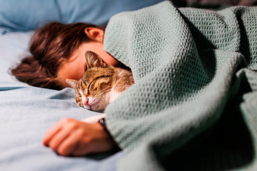 Don’t sleep with your pets, don’t risk your life, here’s why