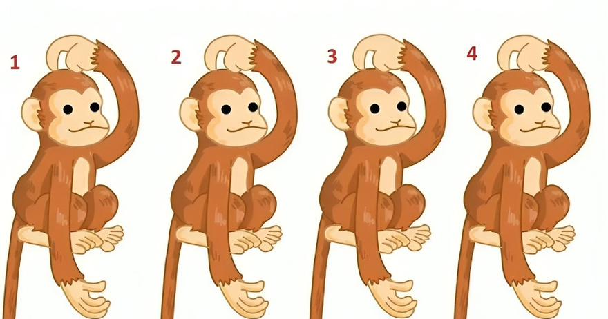 Find the odd one out