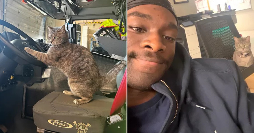 Volunteer Firefighter Goes Viral for Bringing His Beloved Cat, Peanut, Along for a Day on the Job
