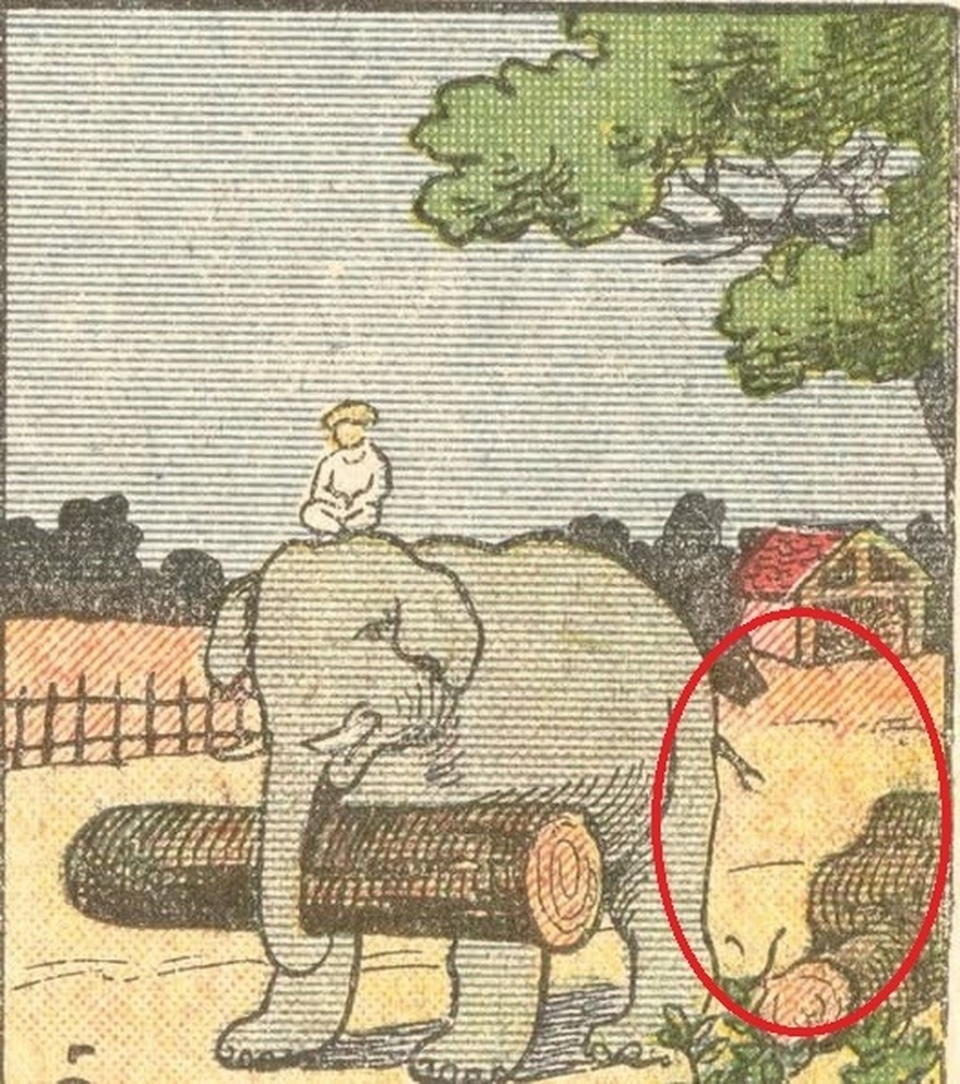 Everyone sees an elephant, but not everyone can tell where a horse is