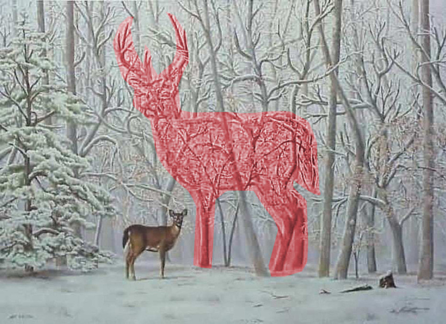 Find the hidden deer in the forest