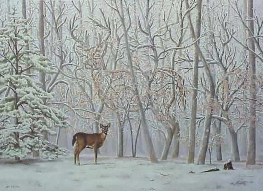 Find the hidden deer in the forest
