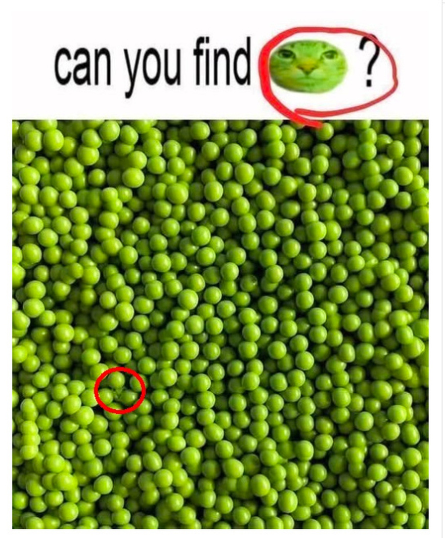 Can You Find the Hidden Cat in Less Than 10 Seconds?