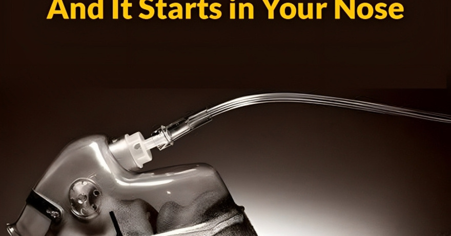Your Body Knows When Dᴇαth Is Near, And It All Begins In The Nose
