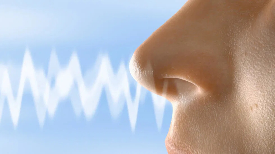 The nose knows: Unraveling the enigmatic link between the sense of smell and mortality