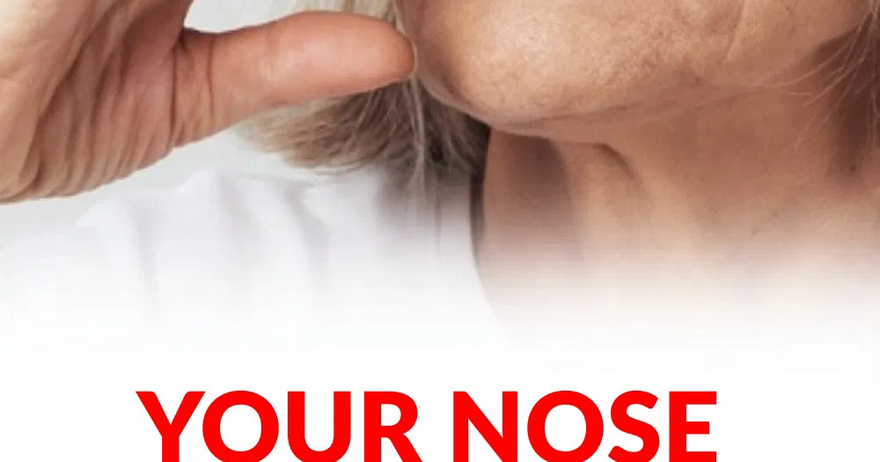 The nose knows: Unraveling the enigmatic link between the sense of smell and mortality