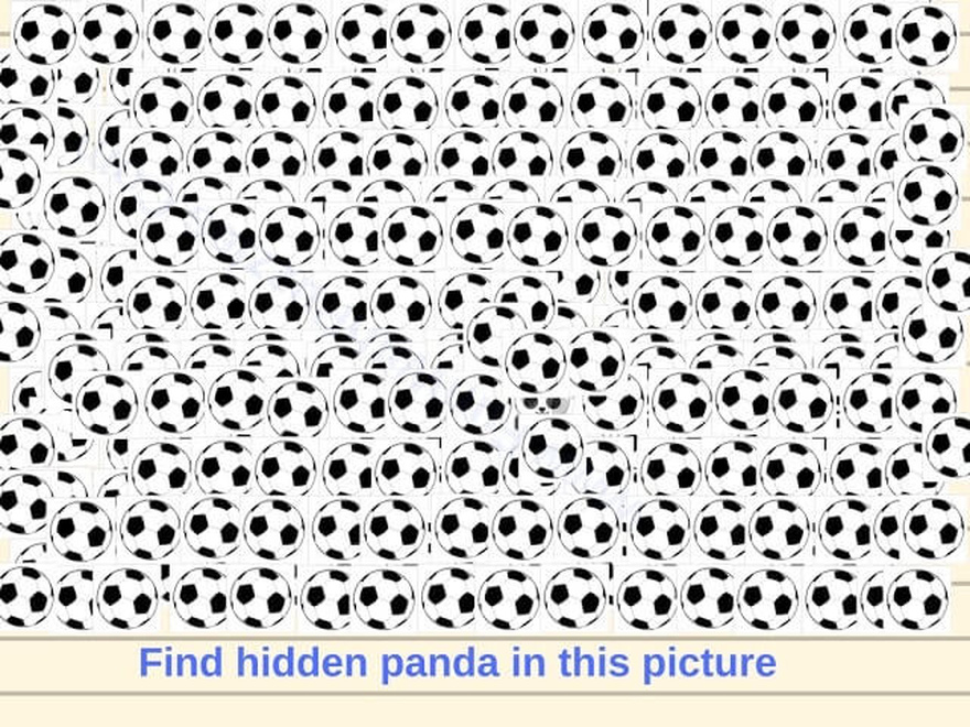 Can you spot the french fries in 15 seconds?