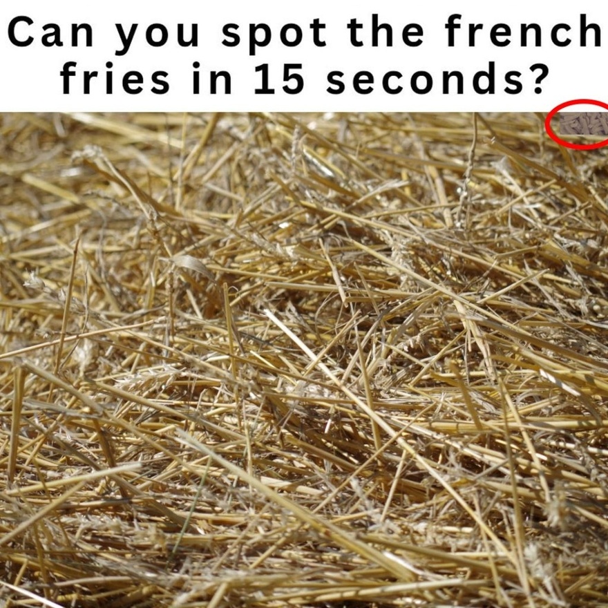 Can you spot the french fries in 15 seconds?