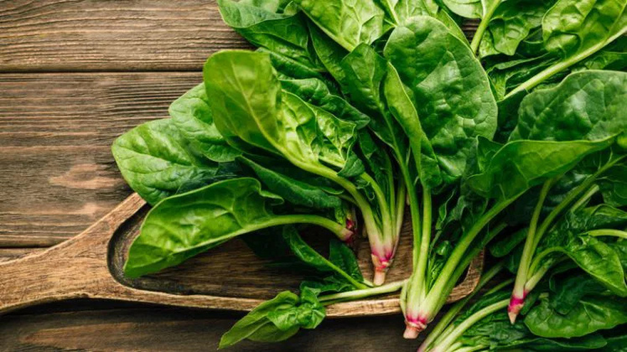 Bacteria Remover: This Plant Cleanses the Intestines and Liver