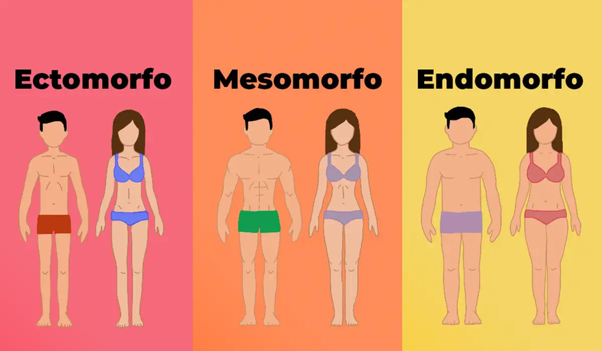 Bo.dy Types: Are You Ectomorph, Mesomorph, or Endomorph?