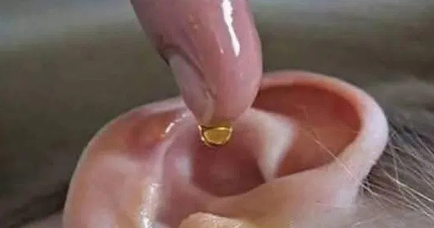One drop unclogs the ear, improves hearing problems and eliminates discomfort