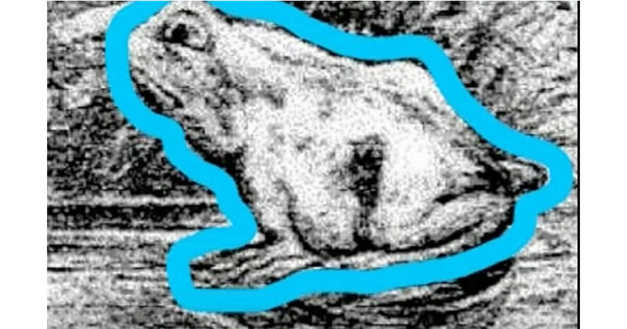Optical illusion: Find the hidden spouse of the sailor