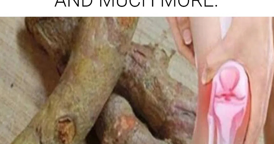 THIS ROOT IS BETTER THAN PILLS. IT RELIEVES INFLAMMATION, KNEE PAIN, AND MUCH MORE.