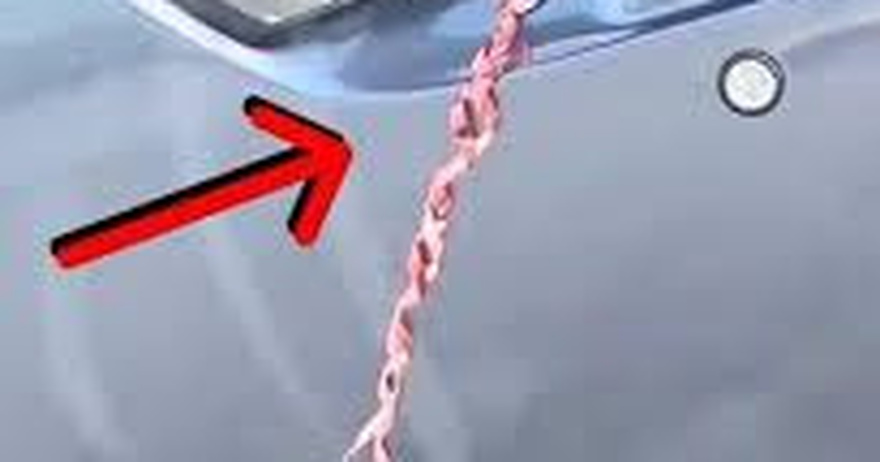 Seeing a Wire Tied Around a Car Door Handle: What It Could Mean