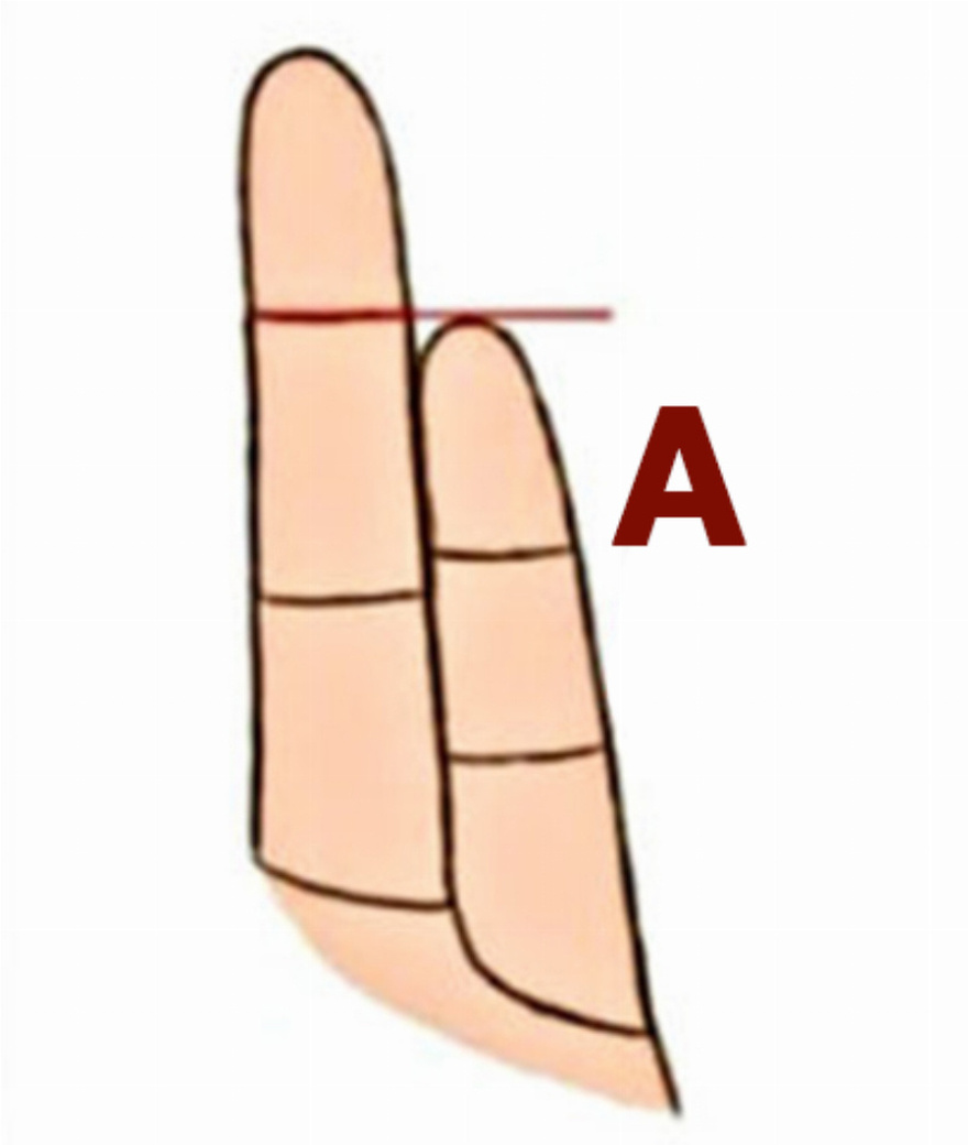 Visual test: the size of your little finger will tell you what your true personality is
