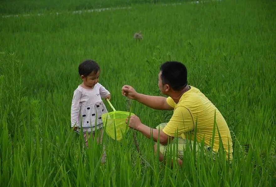 The story of a father digging a grave for his 2-year-old daughter brings tears to the online community.