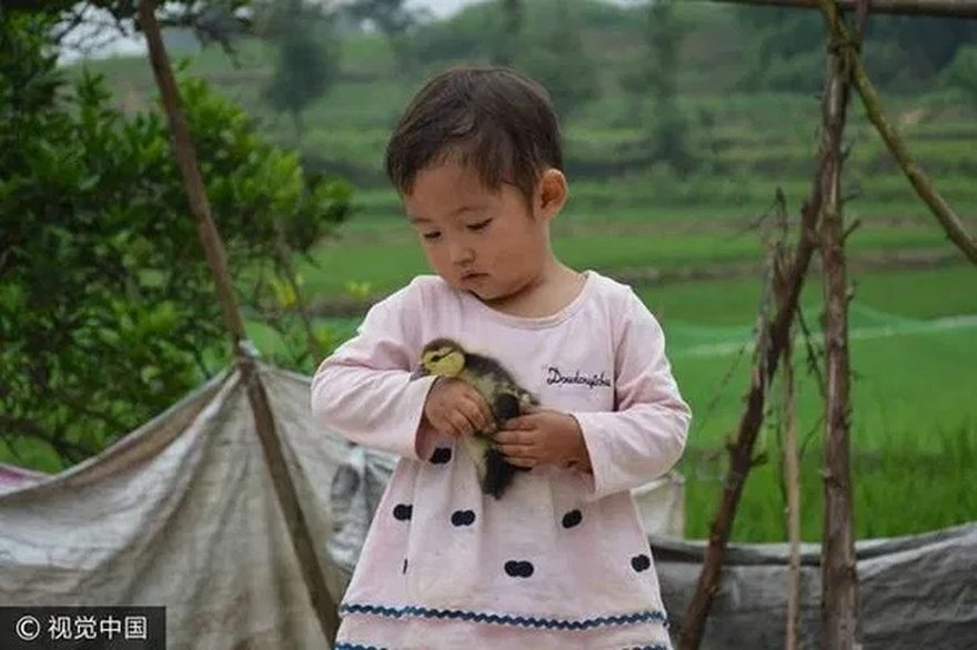 The story of a father digging a grave for his 2-year-old daughter brings tears to the online community.