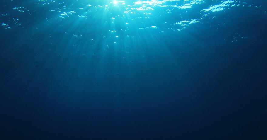 Incredible Footage Captures Moment Submarine Encounters Ancient Deep-Sea Creature Older Than Dinosaurs