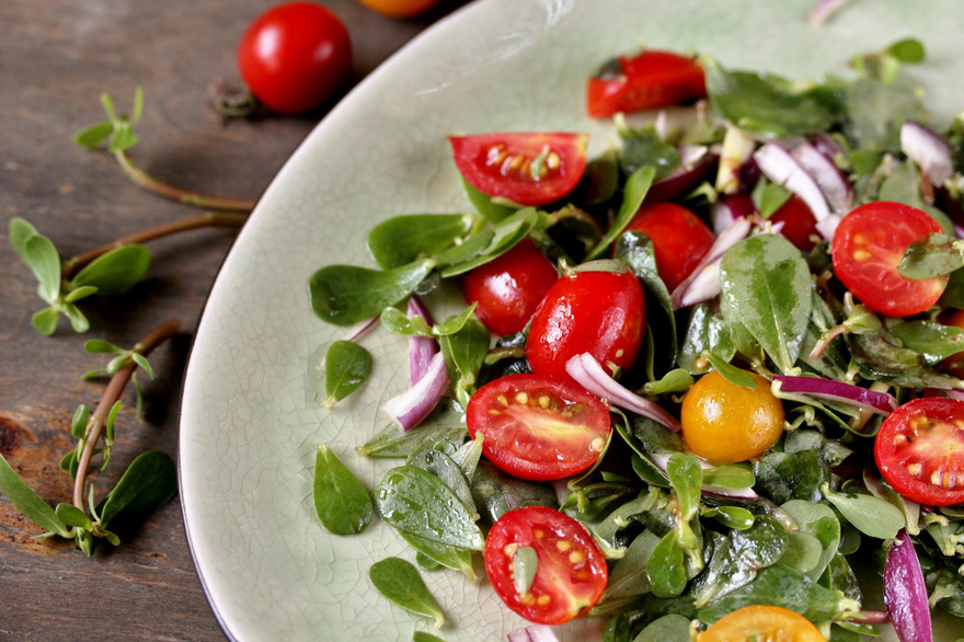 Many Confuse This Plant with a Weed, But It’s Actually Full of Surprising Health Benefits