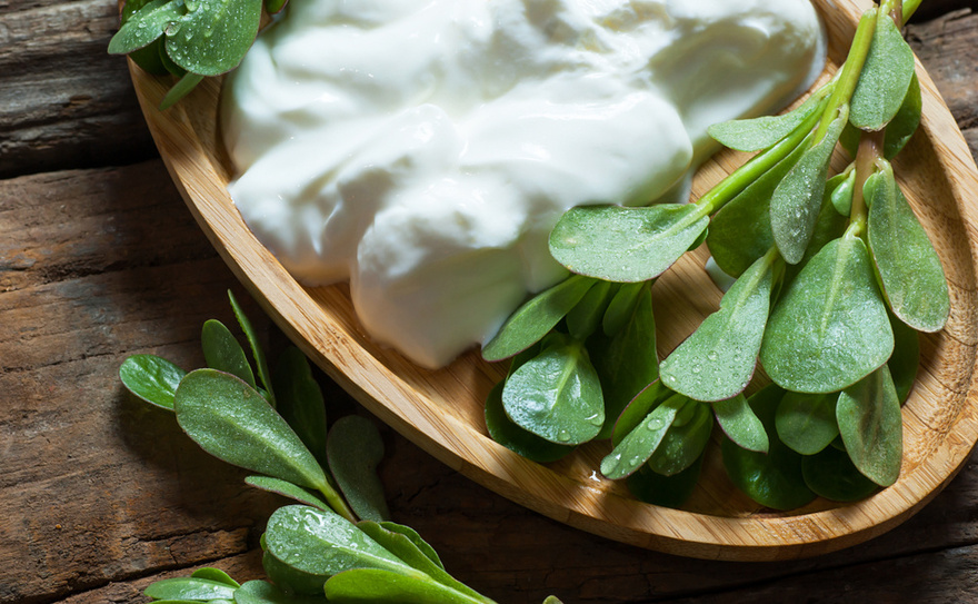 Many Confuse This Plant with a Weed, But It’s Actually Full of Surprising Health Benefits