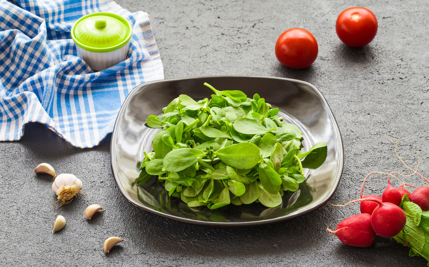 Many Confuse This Plant with a Weed, But It’s Actually Full of Surprising Health Benefits