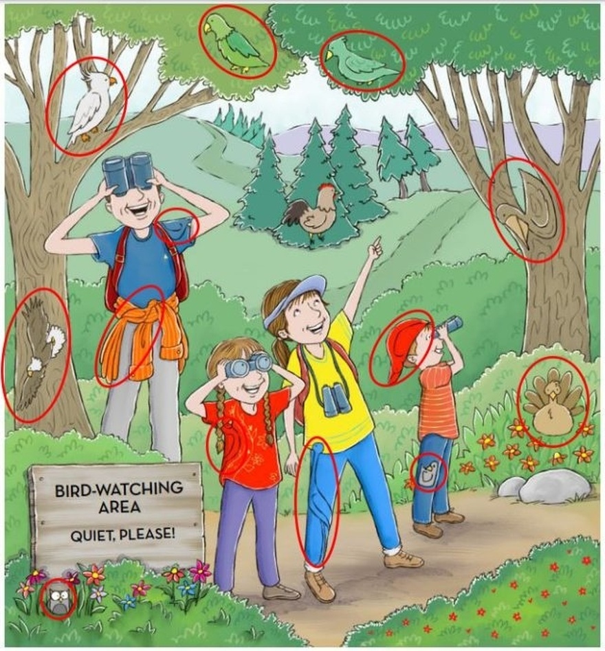 Find 13 Birds.