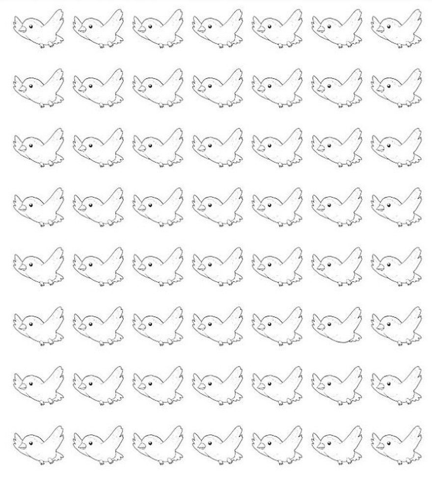 Find 13 Birds.
