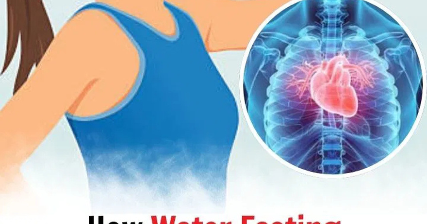 How Water Fasting Can Regenerate the Immune System, Slow Aging, Reduce Heart Attack Risk and More