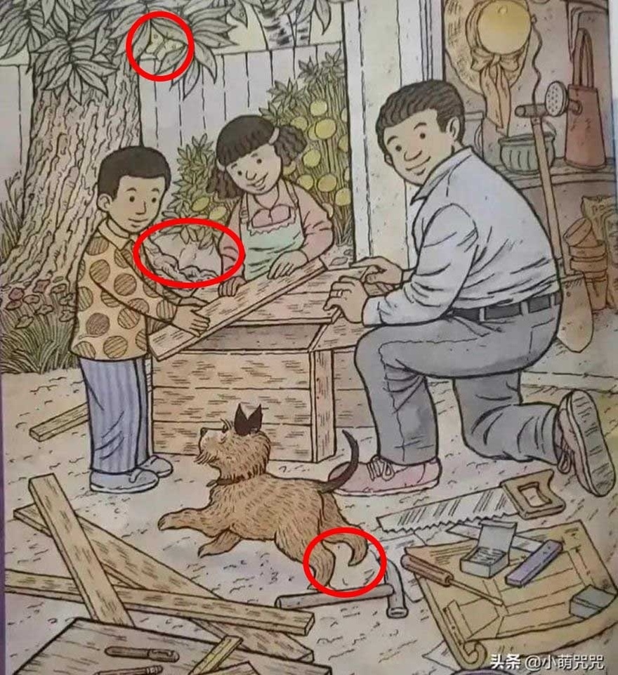 Can You Find Hidden Butterfly?