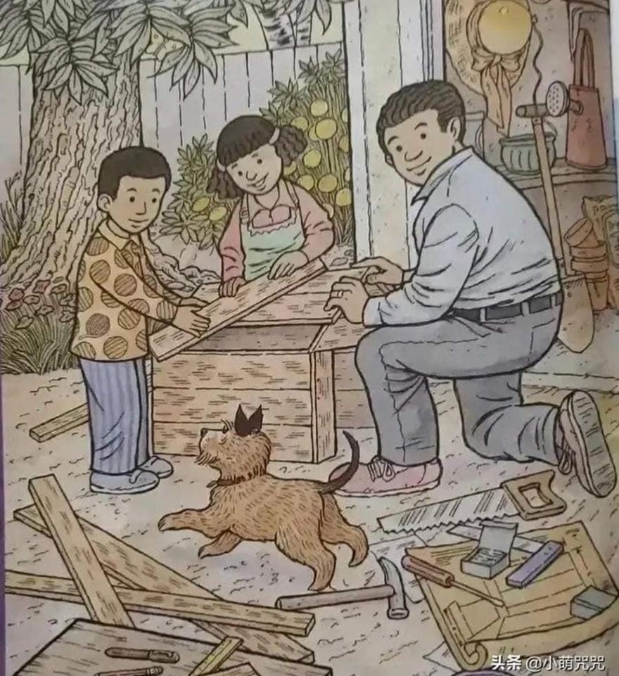 Can You Find Hidden Butterfly?