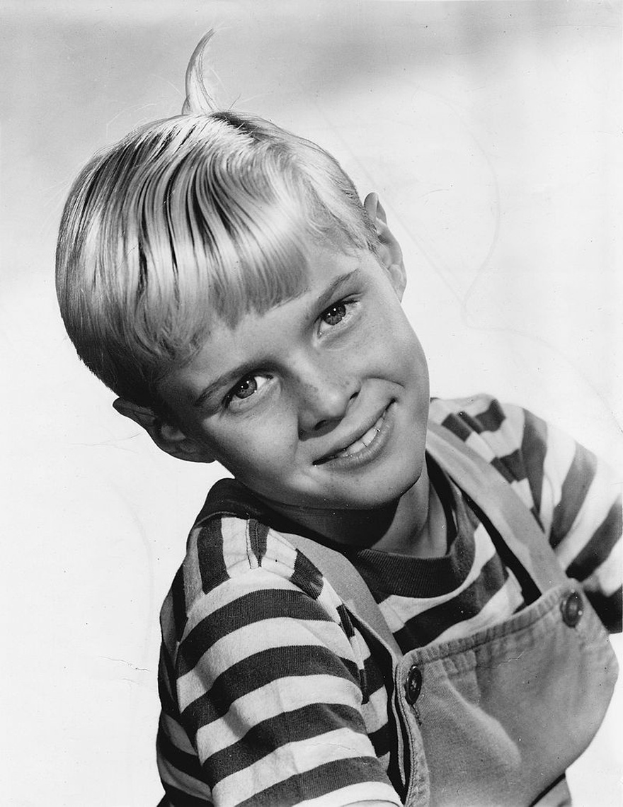 ‘Dennis the Menace’ star dead at 73