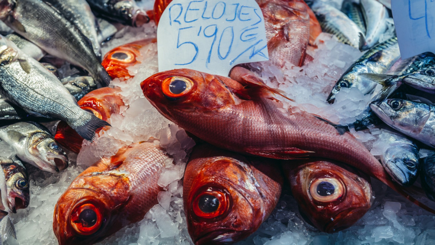 14 Fish You Should Consider Never Eating